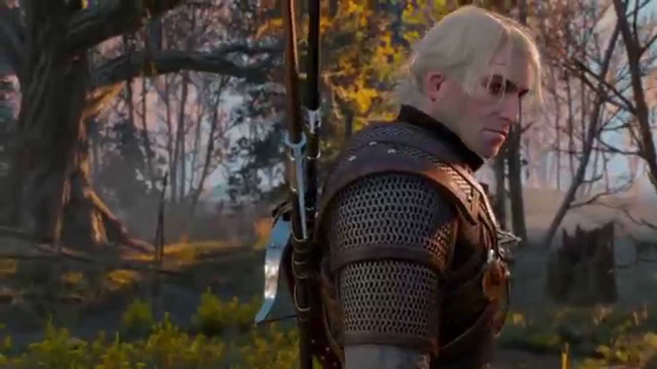 the witcher 3 play lines